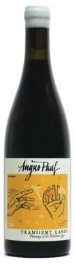 Angus Paul, Transient Lands, Pinotage, Western Cape, South Africa, 2022