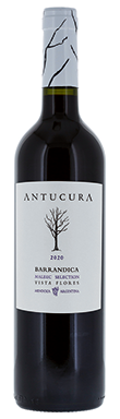 Antucura, Barrandica Malbec, Uco Valley, Tunuyán, Argentina 2020