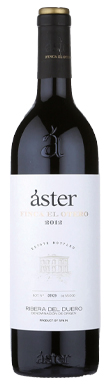 Aster, Finca el Otero, Ribera del Duero, Castilla y Léon, Spain 2019