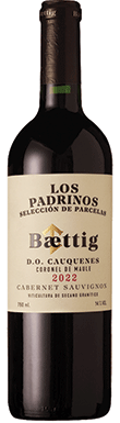 Baettig, Seleccion de Parcelas Los Padrinos, Cauquenes, Maule Valley, Chile 2022