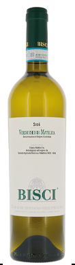 Bisci, Verdicchio di Matelica, Le Marche, Italy 2024