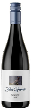 Blue Grouse, Gamay Noir, British Columbia, Canada, 2022
