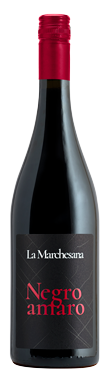 Cantine Polvanera, La Marchesana Negroamaro, Puglia, Italy 2025