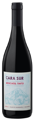 Cara Sur, Moscatel Tinto, Calingasta Valley, San Juan, Argentina 2022