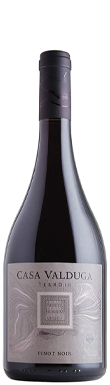 Casa Valduga, Terroir Pinot Noir, Vale dos Vinhedos, Serra Gaucha, Brazil 2023