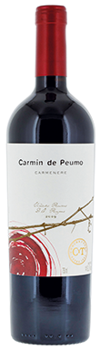 Concha y Toro, Carmin de Peumo, Peumo, Chile, 2021