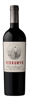 Concha y Toro, Terrunyo, Pirque, Maipo Valley, Chile, 2021