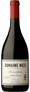 Domaine Nico, Soeur et Freres La Savante Pinot Noir, 2018