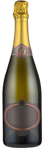 Magna Carta, Cap Classique, Koringberg, Swartland, South Africa, 2023