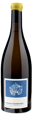 Etienne Calsac, Coteaux Champenois, Champagne, France 2020