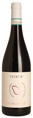 Feudo Antico, Tríbúm, Montepulciano d’Abruzzo, Abruzzo, Italy 2023