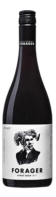 Forager, Pinot Noir, North Canterbury, Canterbury, New Zealand 2022