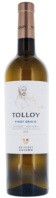 Kellerei Salurn, Tolloy Pinot Grigio, Trentino-Alto Adige/Südtirol, Italy 2025