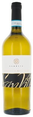 Lamelia, San Vito, Verdicchio di Matelica, Le Marche, Italy 2024