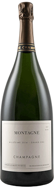 Domaine Les Monts Fournois, Montagne Grand Cru, Champagne, France 2013