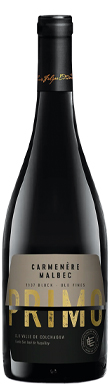 Luiz Felipe Edwards, PRIMO, Colchagua Valley, Chile 2024