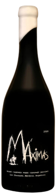 La Coste de Los Andes, Maximas, Los Chacayes, Uco Valley, Mendoza, Argentina, 2020