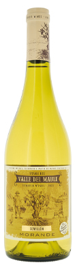 Morandé, Terroir Wines Semillon, Loncomilla, Maule Valley, Chile 2025