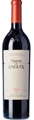 Pagos de Anguix, Costalara, Ribera del Duero, Castilla y Léon, Spain, 2020