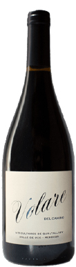 PerSe, Volare del Camino, Tupungato, Uco Valley, Mendoza, Argentina, 2023