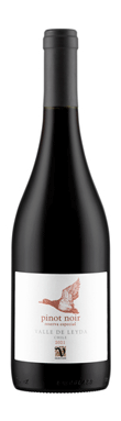 Lidl, Pinot Noir Reserva Especial, San Antonio, Chile, 2021