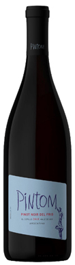 Canopous, Pintom Pinot Noir, Uco Valley, San Carlos, 2020