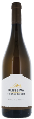 Plessiva Isidoro Polencic, Pinot Grigio, Collio, Friuli Venezia Giulia, Italy 2024