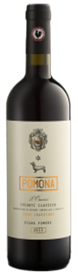 Pomona, Chianti Classico, Tuscany, Italy 2023