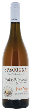 Specogna, Ramato Pinot Grigio, Friuli Colli Orientali, Friuli Venezia Giulia, Italy 2024