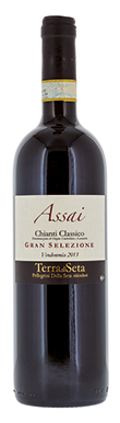 Terra di Seta, Assai, Chianti, Classico Gran Selezione, Tuscany 2013