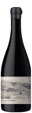 Un Lugar en los Andes, Pinot Noir, Tunuyán, Uco Valley, Mendoza, Argentina 2022