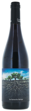 Vintae, La Garnacha Salvaje de Moncayo, Ribera del Queiles, Aragón, Spain 2021